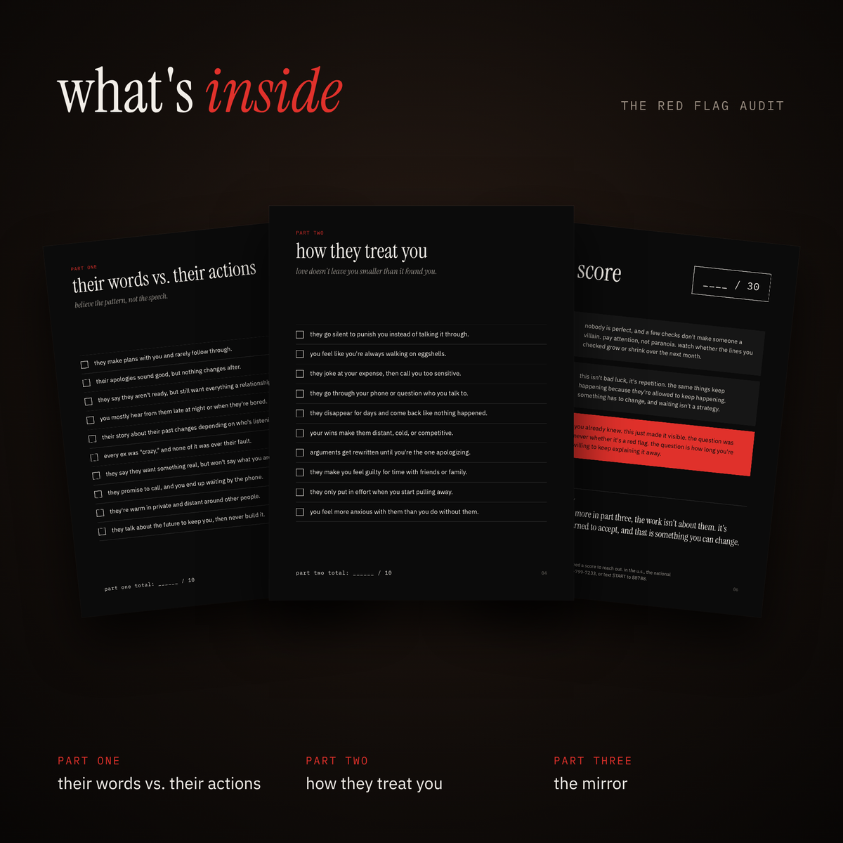 the red flag audit