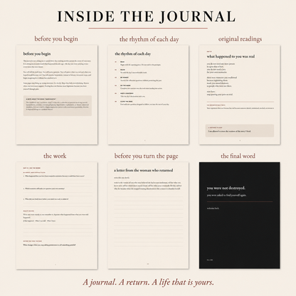 THE WOMAN THEY COULDN'T DESTROY: A 30-Day Journal for Healing After Narcissistic Abuse